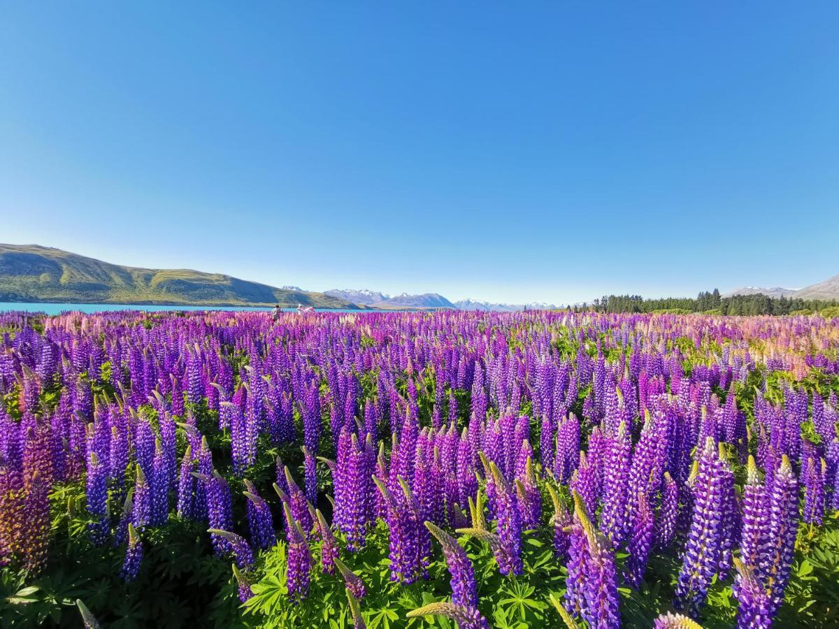 Skyrim Lodge Lake Tekapo Kültér fotó